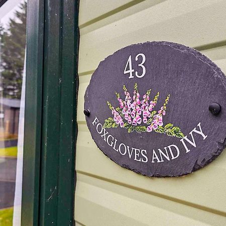 Foxgloves And Ivy Cockermouth Exterior photo